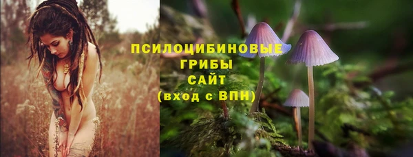 сатива Богородицк