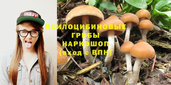 сатива Богородицк