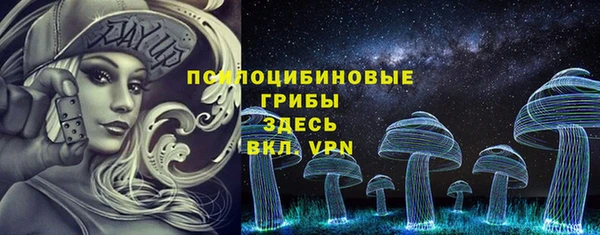 сатива Богородицк