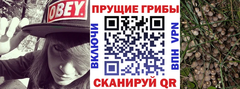 Псилоцибиновые грибы ЛСД  Дно 